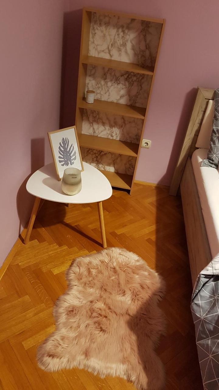 Apartment Krsta Novi Sad Buitenkant foto